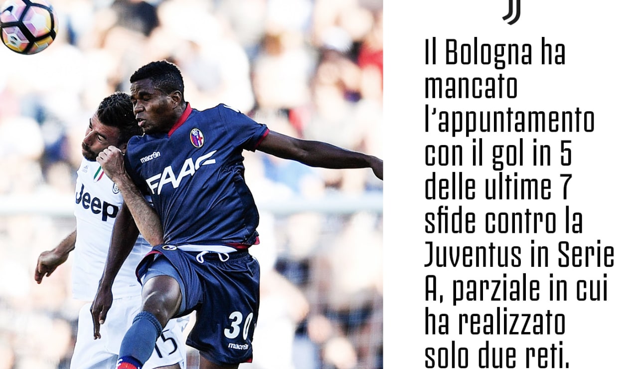 bolognajstat1.jpg