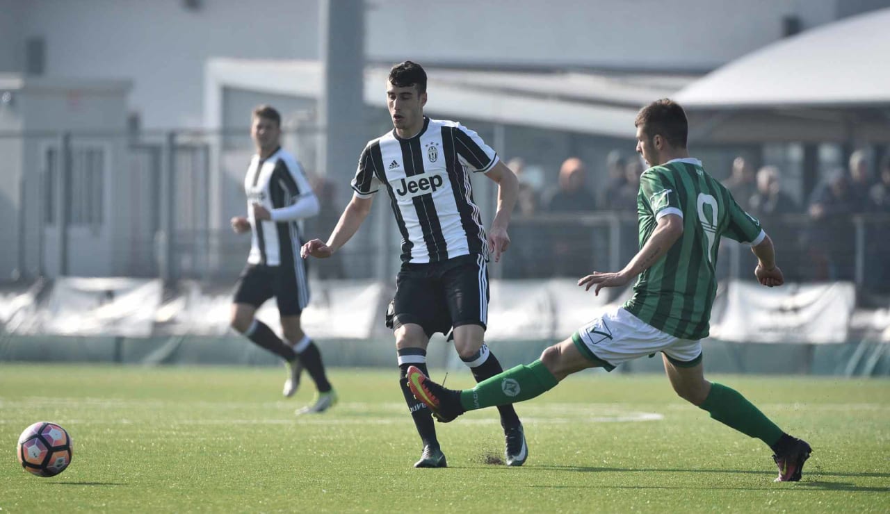 juveaveprimavera03.JPG