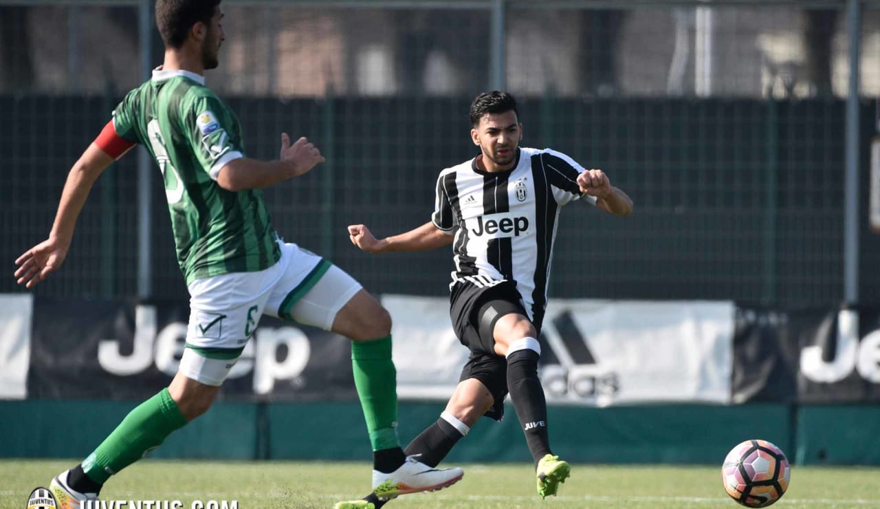 juveaveprimavera15.JPG