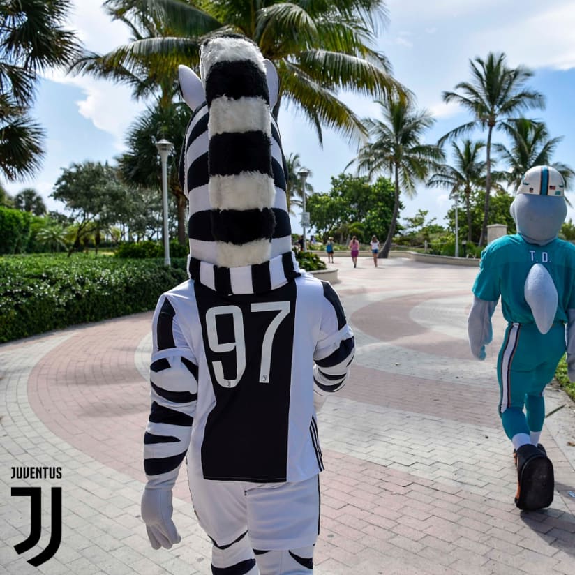 Jay makes a new friend in Miami!