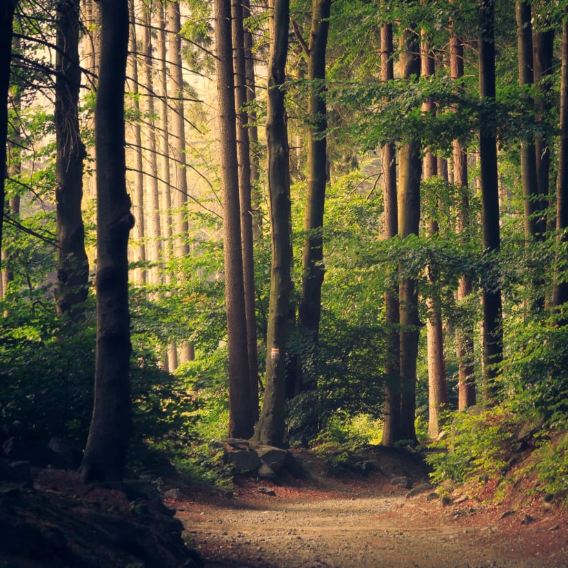 lukasz-szmigiel-jFCViYFYcus-unsplash