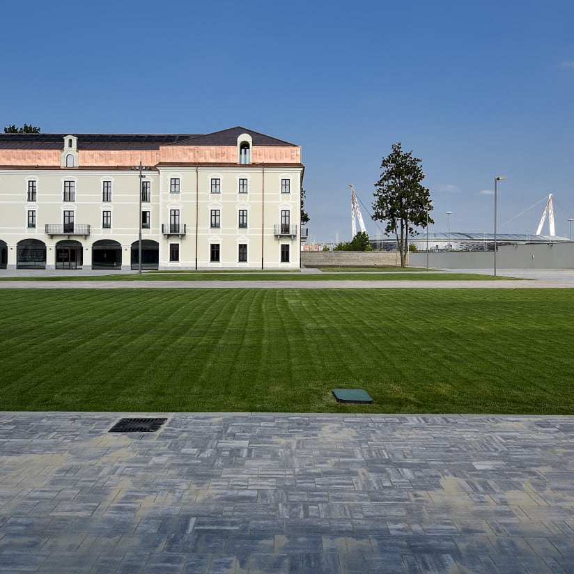 Current shareholding