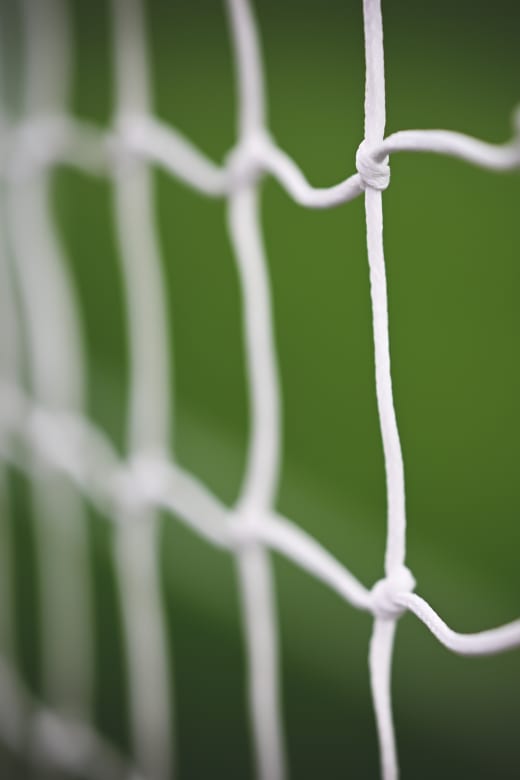 Rete dell'Allianz Stadium